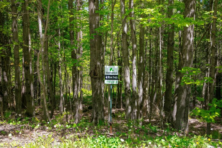 Terrain à vendre, rue de la Grande-Coulée, Orford