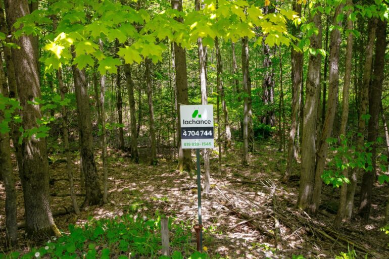 Terrain à vendre, rue de la Grande-Coulée, Orford